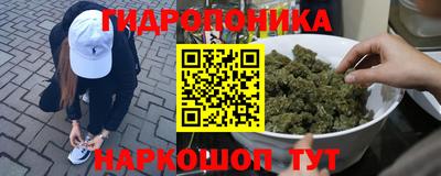 круглые Камышлов