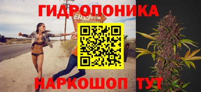 круглые Камышлов