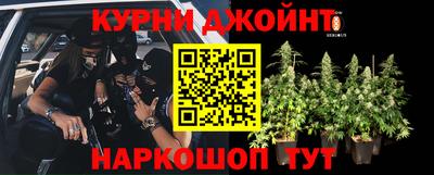 крисы Изобильный