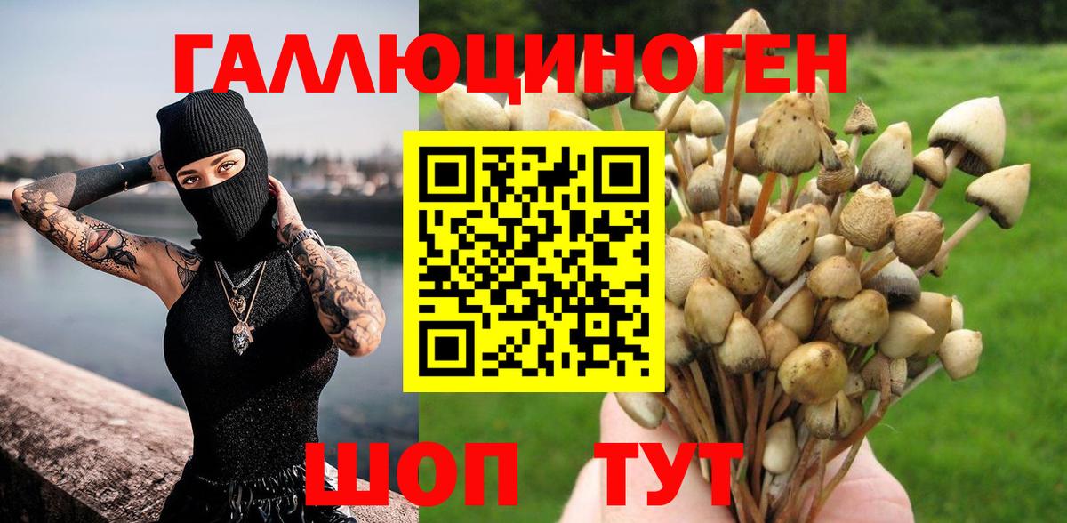 Галлюциногенные грибы GOLDEN TEACHER Кыштым